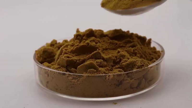 حنا هندی مشکی پرکلاغی گیاهی با جلوه براق و زیبا